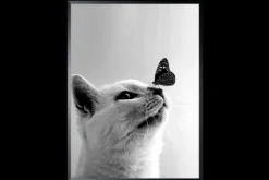 Schilderijen-Luxe Framing Art Art Print Butterfly Cat SHJ973