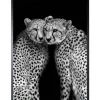 New Art Print Cheeta CHEET-01 Schilderijen