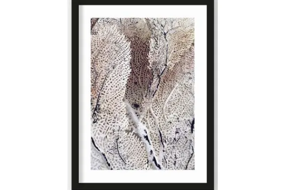 Schilderijen-Urban Cotton Art Print Curly Soft Coral