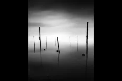 Art Print Fall In Schilderijen