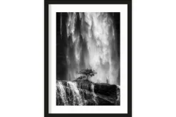 Schilderijen-Urban Cotton Art Print Germinate