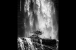 Schilderijen-Urban Cotton Art Print Germinate