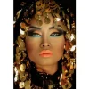 Sale Art Print Gouden Hoofddeksel FEM-065 Schilderijen