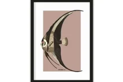 Art Print Mola Mola Schilderijen