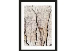 Hot Art Print Soft Coral Schilderijen