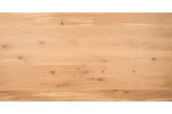 New Bartafel Destra Bartafels