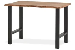 Bartafels-MySons Bartafel Nebel