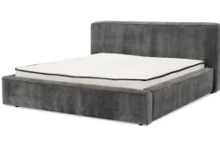 Discount Bed  Elysium Boxsprings