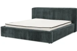 Discount Bed  Elysium Boxsprings