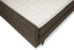 Boxsprings-Sierah Beds Boxspring Jungle Bolta
