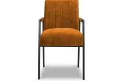 Best Eetfauteuil Harvey Eetkamerstoelen