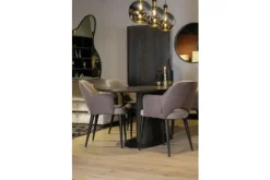 Hot Eetkamerstoel 210412 Alaska Stone Giovanna Eetkamerstoelen