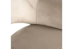 Eetkamerstoel 212340 Trendy Nature Giovanna Eetkamerstoelen