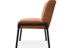 Eetkamerstoelen-Donc Eetkamerstoel  Duuk