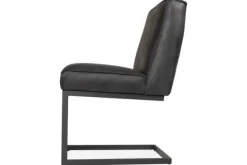 Eetkamerstoel  Fun Eetkamerstoelen