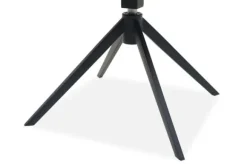 Sale Eetkamerstoel Present 120 Odette Eetkamerstoelen