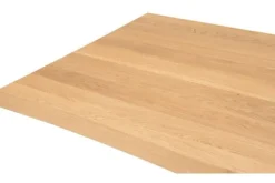 Eettafels-Premium Interior Eetkamertafel Lavas