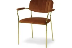 Eetkamerstoelen-Veyron Eetstoel - rust Blanchett