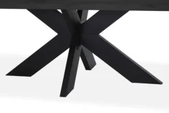 Eettafels-Premium Interior Eettafel Hovea