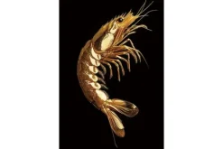 Hot Glasschilderij Gouden Garnaal 080120-1115 Schilderijen