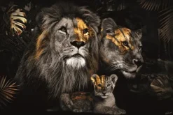 Schilderijen-Ter Halle Glasschilderij Leeuwenfamilie Met Een Welpje 110160BS-621