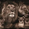 Schilderijen-Ter Halle Glasschilderij Leeuwenfamilie 080120BS-624