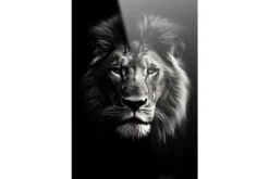 New Glasschilderij Mighty Lion Schilderijen