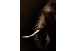 Schilderijen-Ter Halle Glasschilderij Olifant mysterieus 080120-1109