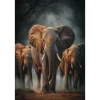 Schilderijen-Ter Halle Glasschilderij Olifanten in het donker 080120-1151