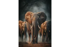 Schilderijen-Ter Halle Glasschilderij Olifanten in het donker 080120-1151