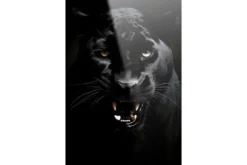 Schilderijen-Urban Cotton Glasschilderij Rawr Panther