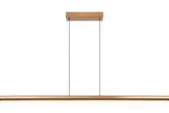 Hanglampen-Lucide Hanglamp  Griffith