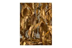 Online Hanglamp LB039/12+1 ambachtelijk brons Aix | Kroonluchters|Hanglampen