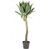 Decoratie-By-Boo Kunstplant 403091 Agave