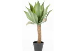 Hot Kunstplant 403090 Agave Decoratie