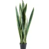 Decoratie-By-Boo Kunstplant 405117 Sanseveria