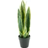 Discount Kunstplant 405116 Sanseveria Decoratie