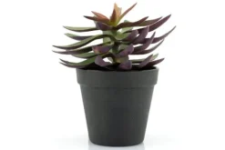 Decoratie-By-Boo Kunstplant 403114 Vetplant