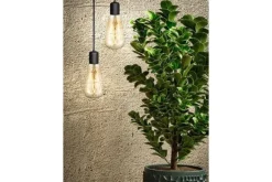 Lichtbronnen-Masterlight Lichtbron FleX DL Rustika |LX023960205