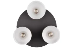 Plafondlamp-Trio Lighting Plafondlamp Agudo