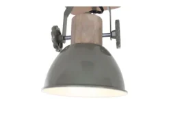 Plafondlamp-Steinhauer Plafondlamp 7968g Gearwood  Mexlite
