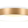 Outlet Plafondlamp 2562GO Ringlede Plafondlamp