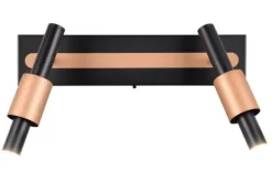 Plafondlamp-Trio Lighting Plafondlamp  Ikaris