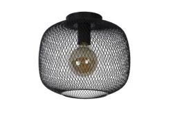 Best Plafondlamp Mesh Plafondlamp