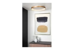 Plafondlamp- Plafondlamp Vidal