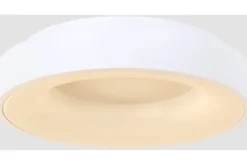 Plafondlamp-Steinhauer Plafondlamp 2563W Ringlede