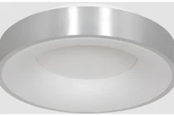 Clearance Plafondlamp 2563ZI Ringlede Plafondlamp