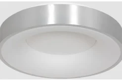 Plafondlamp-Steinhauer Plafondlamp 2562ZI Ringlede