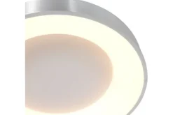 Plafondlamp-Steinhauer Plafondlamp 2562ZI Ringlede