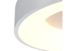 New Plafondlamp 3086ZI Ringlede Plafondlamp